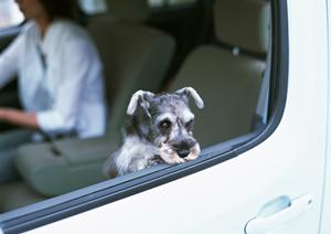 スピーディで安心！即日車検を実現するための完全ガイド